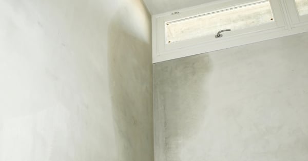 ממה נובעת רטיבות בקיר ואיך אפשר למנוע את זה?